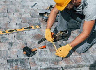 Hệ Sinh Thái TLV-T